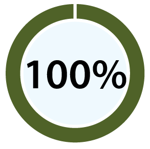 100%